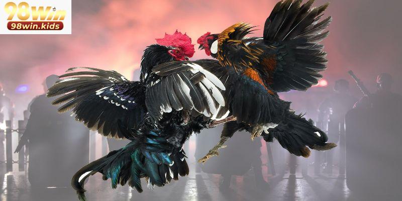 3 thế mạnh của sảnh đá gà 98win
